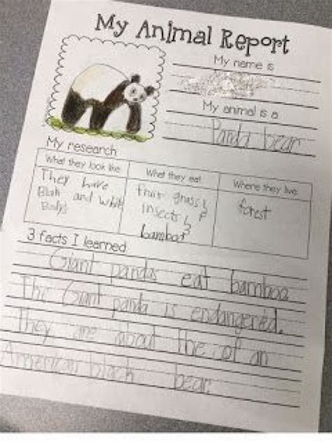 Animal Reports Are A Fun Way To Get Young Students Excited About Doing