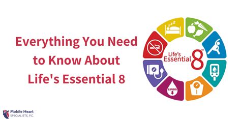 Aha Updated Their Lifes Essential 8 Heres What You Need To Know