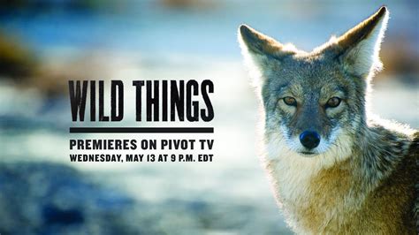 Wild Things Trailer Youtube