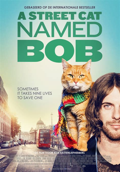 Based on the international best selling book. A Street Cat Named Bob - VPRO Cinema - VPRO Gids