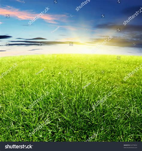 Green Grass Sunset Stock Photo 52379053 Shutterstock