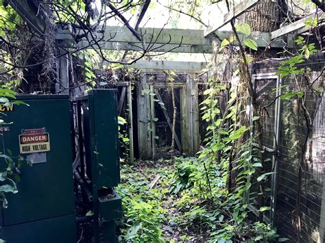 New Images And Footage Of Disneys Abandoned Discovery Island R