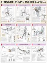Pictures of Different Muscle Exercises