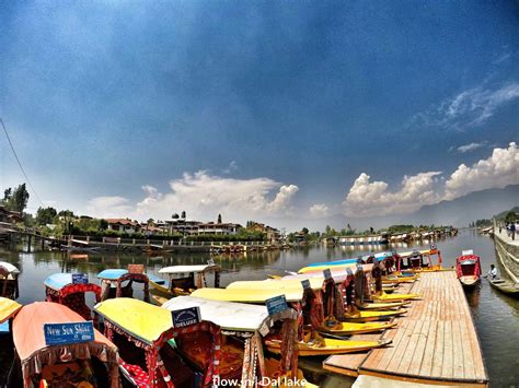 Nine Things To Do In Srinagar ~ The Land Of Wanderlust