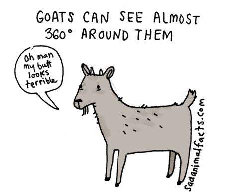 Illustrations Reveal Sad Facts About Animals With Charming Wit