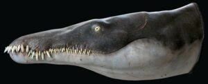 Million Year Old Ancient Sea Monster Revealed As Worlds Oldest Mega Predator Of Its Kind