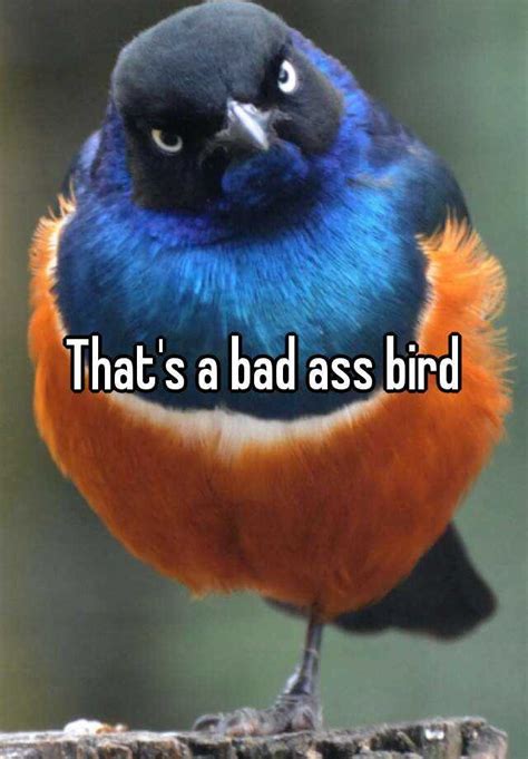 that s a bad ass bird