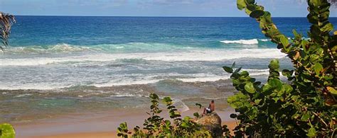 Barbados Beaches Nude Bathing Privacy Vendors Security