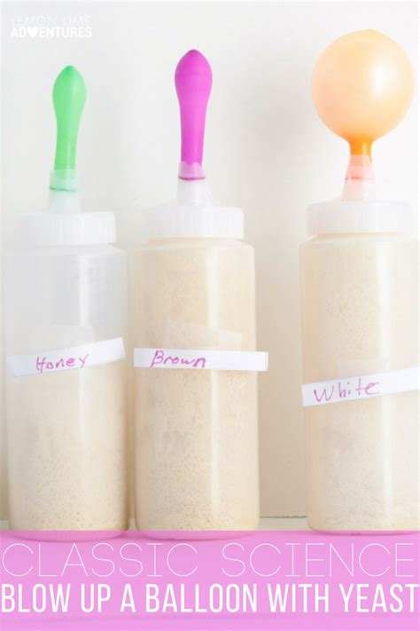 Blow Up A Balloon In This Classic Yeast Science Experiment Science Fair Projects Science