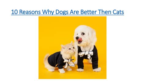 Ppt 10 Reasons Why Dogs Are Better Then Cats Powerpoint Presentation