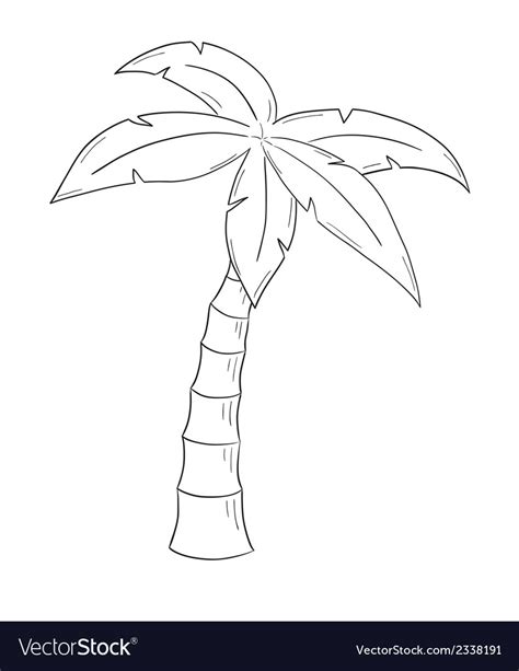 Sketch Of The Palm Tree Royalty Free Vector Image