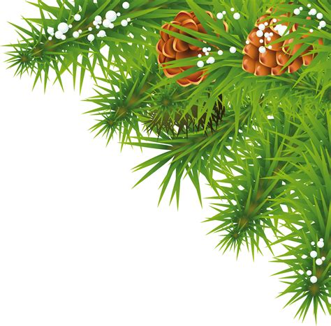 Christmas Branches Transparent Background Png Mart