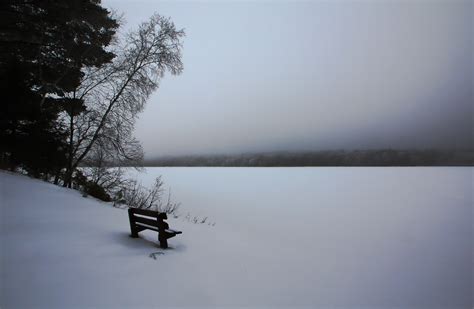 Wallpaper Trees Landscape Forest Lake Water Nature Shore