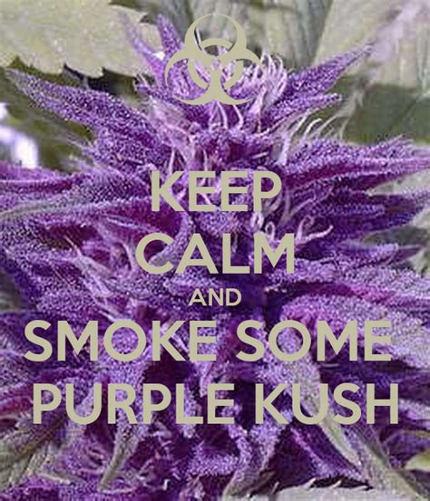 Keep Calm And Smoke Some Purple Kush Poster Jr Keep Calm O Matic