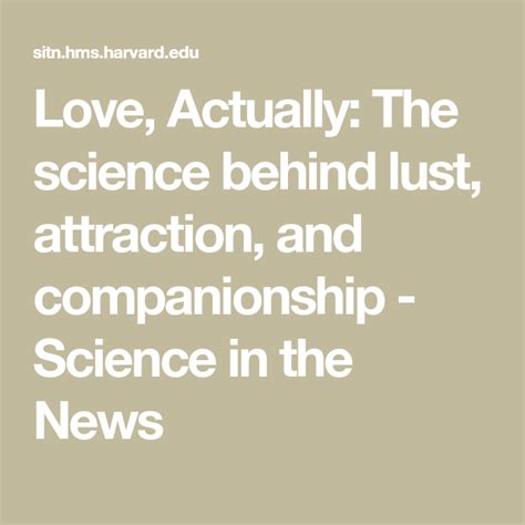 Love Actually The Science Behind Lust Attraction And Companionship