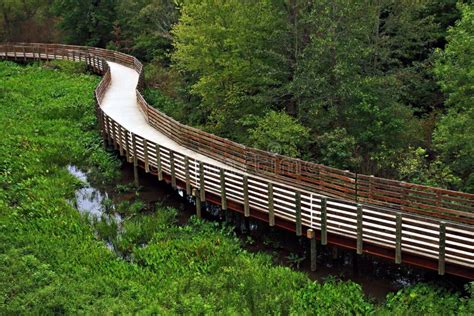 Wooden Trail Stock Image Image Of Walkway Swamp Winding 10797113