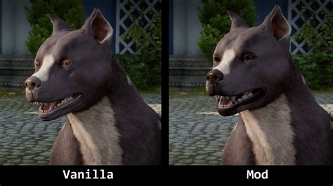 Improved Mabari Texture And Recolors At Dragon Age Inquisition Nexus