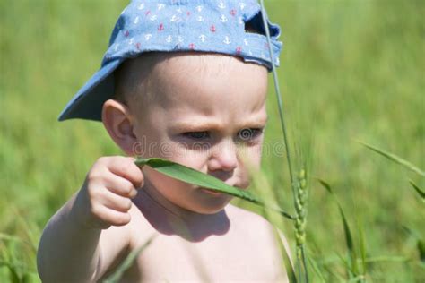 Cute Blond Child Playing In A Green Meadow Among Tall Grass Stock Photo