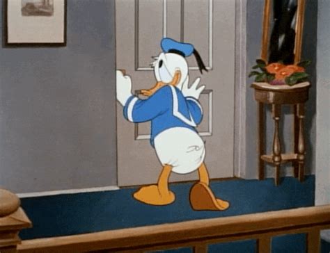 Donald Duck Animation  Find And Share On Giphy