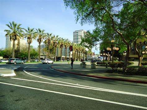 Downtown San Jose With Trees And Street In San Jose California Image
