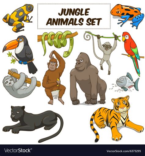 Cartoon Jungle Animals Set Royalty Free Vector Image