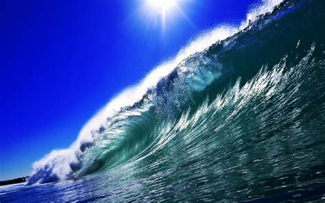 Catch The Wave Surfs Up Papel De Parede Hd Plano De Fundo