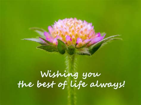 And here's wishing you the very best for all the new ventures, that life has in store for you. CSTSS.ORG: Greetings cards