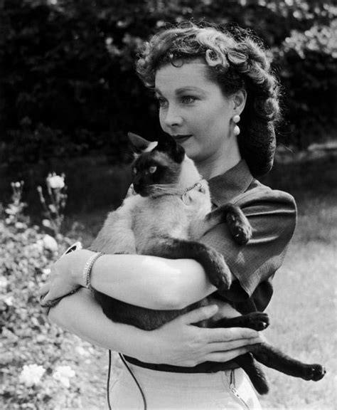 Pin By Doreen Smith On Vivien Leigh Siamese Cats Celebrities With