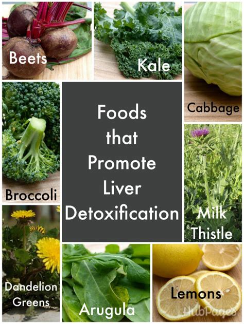 How To Cleanse The Liver For Maximum Detoxification Hubpages