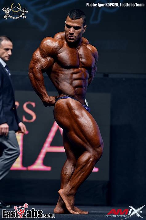 This company officer is, or. Worldwide Bodybuilders: Egyptian bull Hassan Mustafa