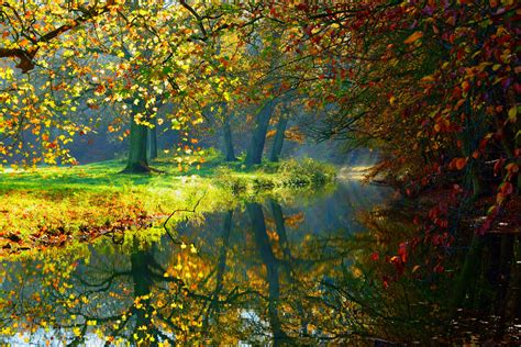 Autumn Lake Reflection 4k Ultra Hd Wallpaper Background Image 6000x4000