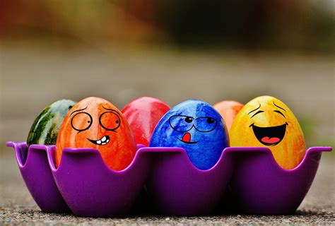 Free Images Color Colorful Toy Egg Funny Colored Easter Eggs
