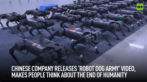 Chinese Company Releases ‘robot Dog Army Video Makes People Think