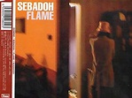 Sebadoh - Flame-CDS - Amazon.com Music