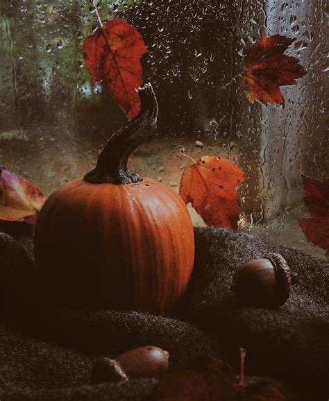 October 🍂 On Instagram Cozy Rainy Vibes 🌧🍁 Autumn Cozy Autumn