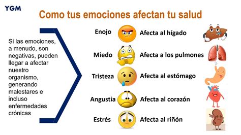 Como Las Emociones Afecta Tu Salud Si Las Emociones A Menudo Son