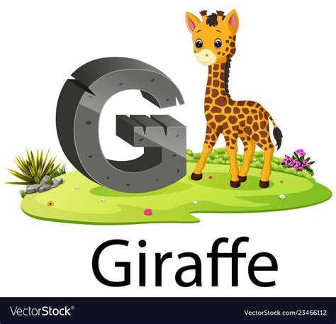 Cute Zoo Animal Alphabet G For Giraffe Royalty Free Vector
