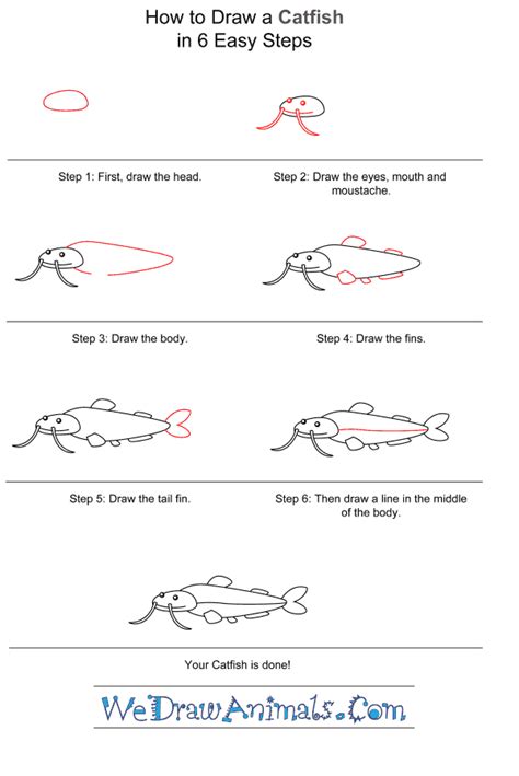 Had to tighten up the drag. How to Draw a Simple Catfish for Kids