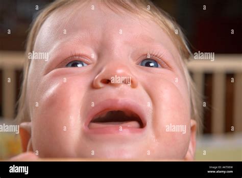 Baby Screaming In Playpen Stock Photo Alamy
