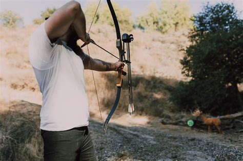 Professional Bow And Arrow Set For Hunting How To Choose The Right One For You