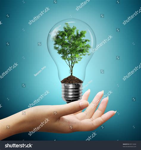 Bulb Light Tree Inside On Woman Stock Photo 89513260 Shutterstock