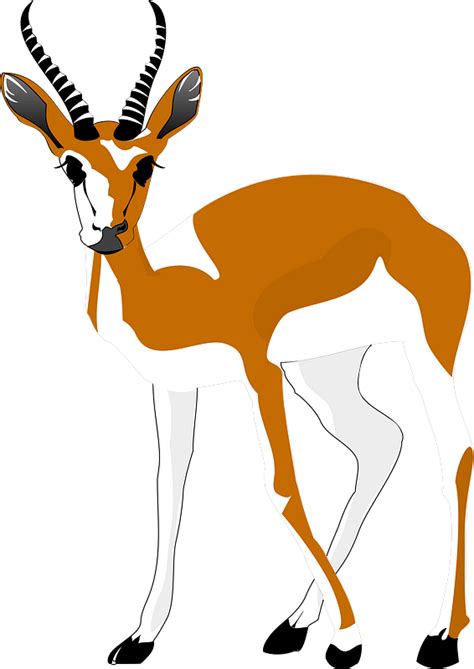 Antelope Clipart Free Download Transparent Png Creazilla