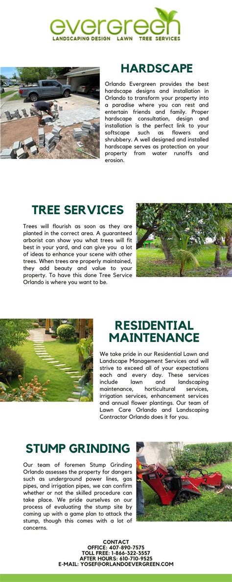 Tree Service By Orlando Evergreen Lawn And Landscaping Commercial