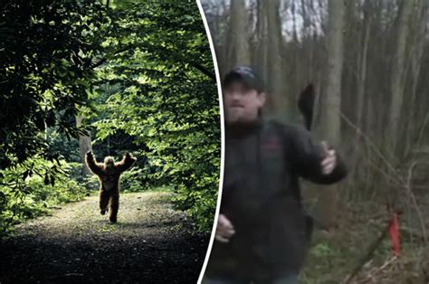 Bigfoot Sighting Us Search Team Deployed To Forest After