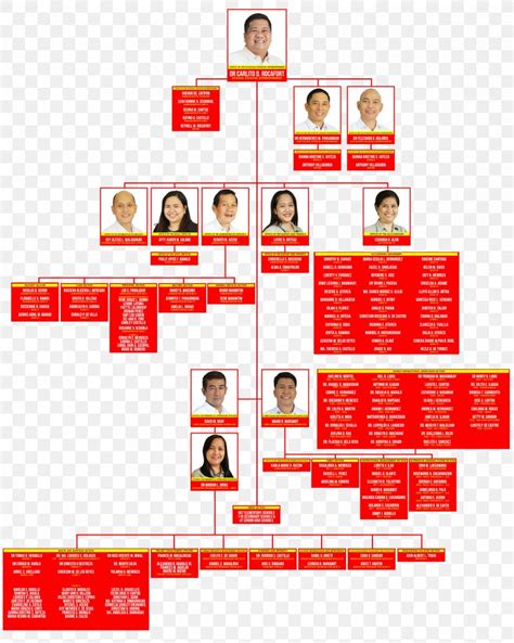 Organizational Structure Chart Of Deped Schools Universities Images And Photos Finder