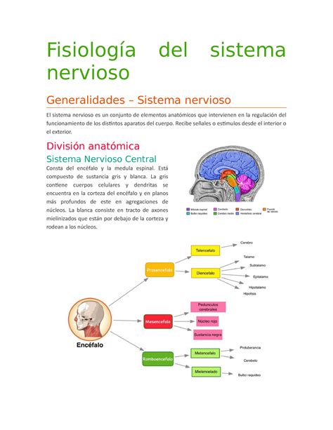 Fisiología Del Sistema Nervioso Nervioso Del Sistema Generalidades