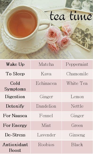 All You Need To Know About Tea Different Types Of