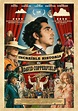 La increíble historia de David Copperfield cartel de la película