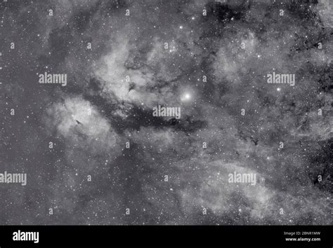 The Star Sadr And Gamma Cygni Nebula In Cygnus Imaged In Monochrome