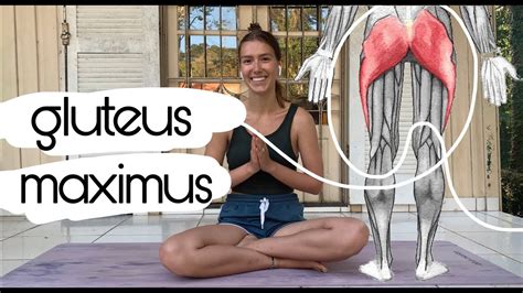 Yoga Muscle Series Glutes Gluteus Stretches YouTube